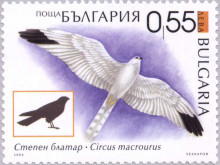 55 стотинки