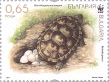 65 стотинки