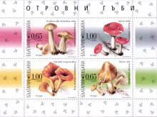 3.30 Гъби