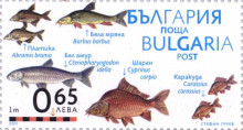 65 стотинки