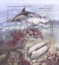 2.65 БГУКРАЙНА