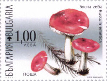 1 лев