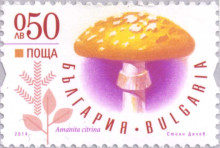 50 стотинки вълта мухоморка
