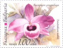 1 лев