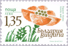 1,35 лева