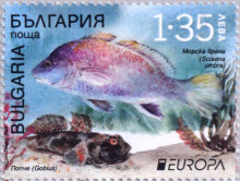 1,35 лева