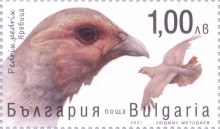1 лев яребица