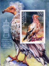 1 лев