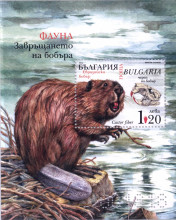 1,20 лева бобър