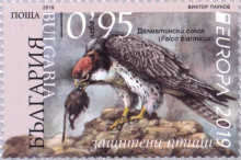 95 делматински сокол