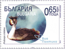 65 стотинки