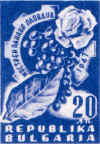 47_20.jpg (19882 bytes)