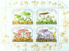 mushrooms-b.jpg (173442 bytes)